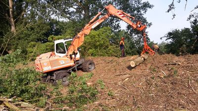 Mobilbagger mit Holzgreifer legt einen Baumstamm ab, daneben ein Mitarbeiter in Schutzkleidung