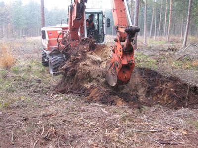 Bagger rodet Wurzelstöcke auf einer Waldfläche