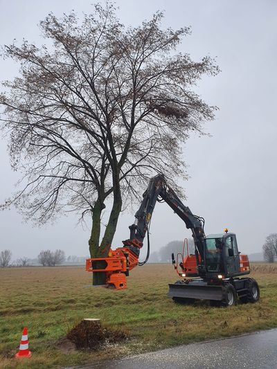 Mobilbagger Atlas 140W fasst mit dem Fällgreifer Woodcracker CS 610 compact einen Baum am Feldrand