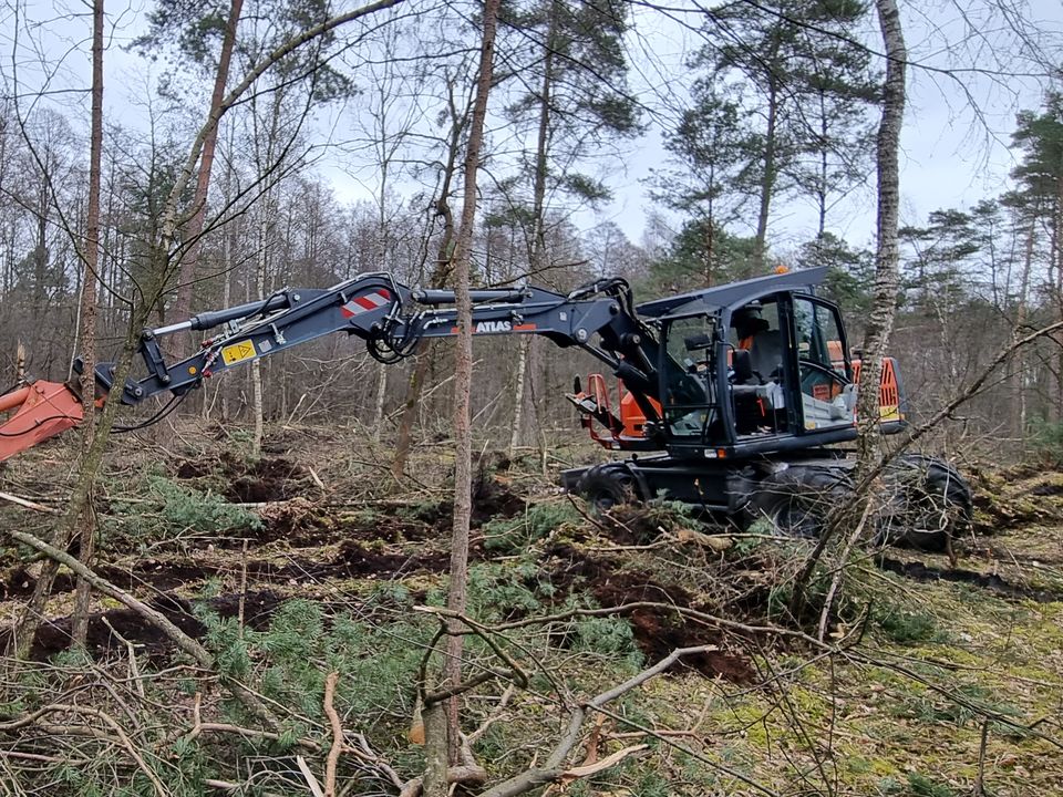 Atlas-Mobilbagger legt auf einer geräumten Waldfläche Pflanzstreifen an